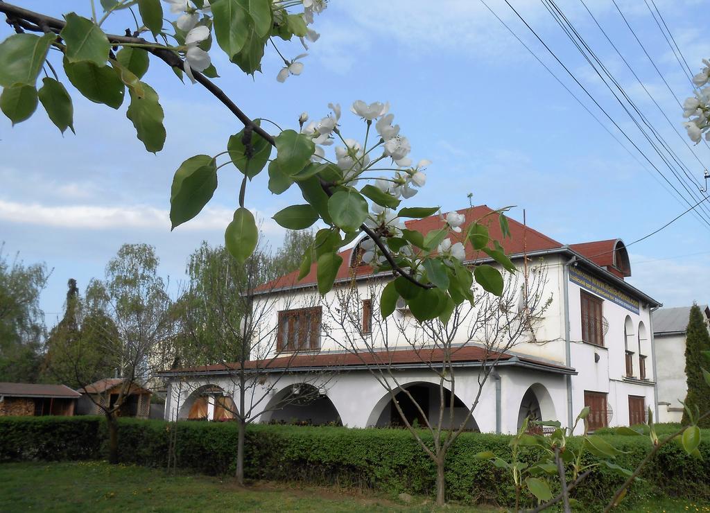 Guest House Marketti Vynohradiv Exteriör bild